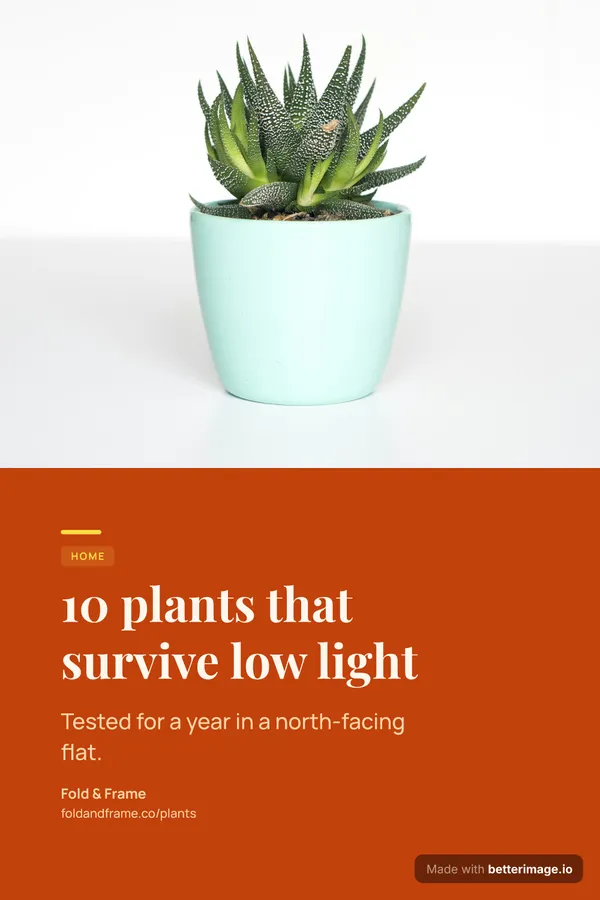Plants pin at 1000 by 1500, Pinterest pin