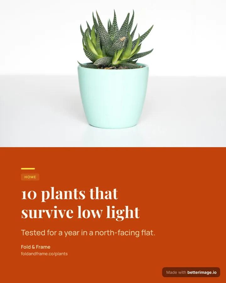 Plants pin at 1080 by 1350, Portrait post