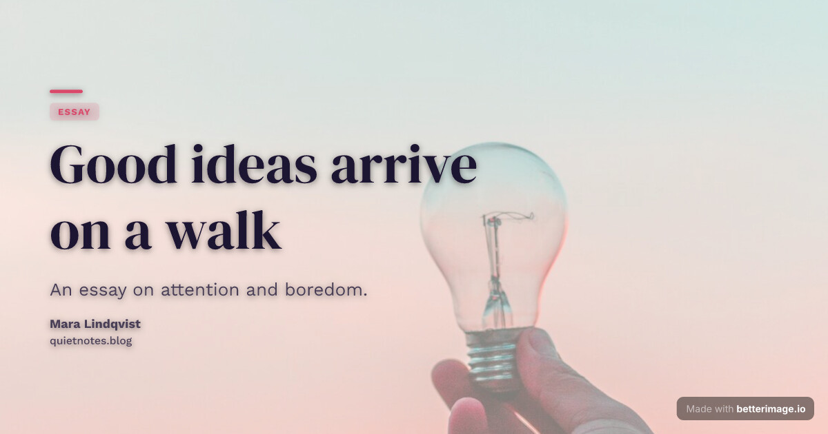 Essay Open Graph image: light-tinted lightbulb photo, oversized display serif headline, one-line subtitle